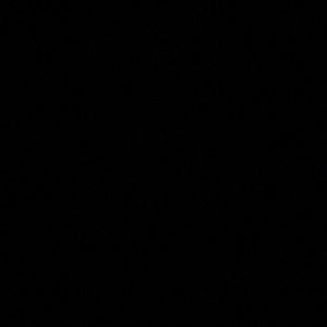 Meet your Posher, Angelina